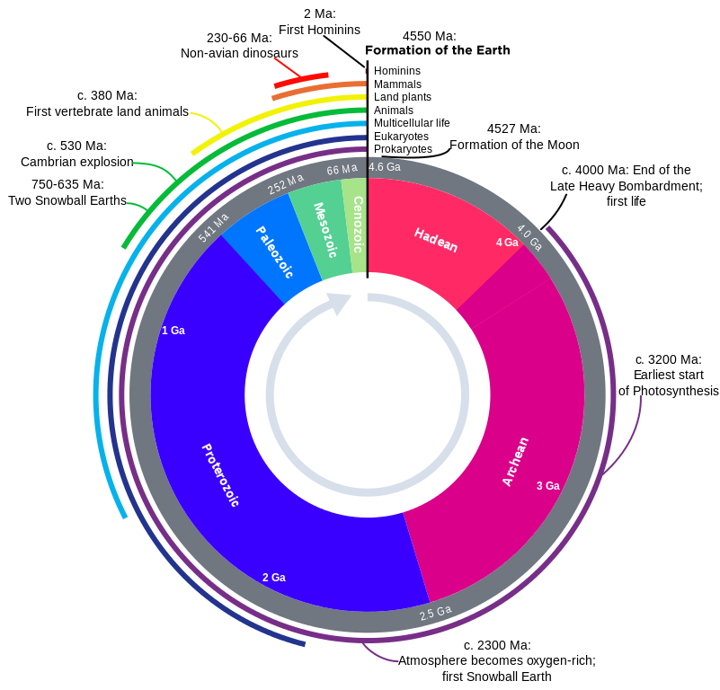 Human time vs all earth's time