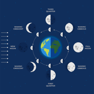 Graphic explaining moon phases